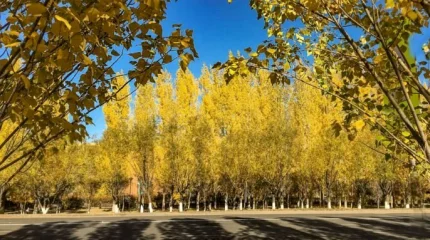 Ауа райы қайта жылынады