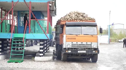 Жетісу облысындағы Ақсу қант зауыты қант қызылшасын қабылдау маусымын бастады