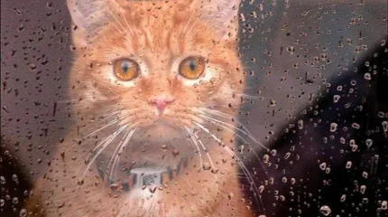 Дождь ударит по всем мегаполисам Казахстана в четверг, 2 октября