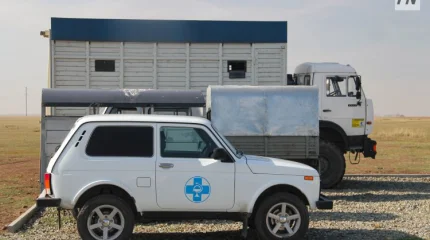 Павлодар облысында екі мыңға жуық үй құсы қырылып қалды