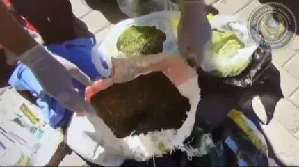 75-летний курьер задержан в Караганде с мешками марихуаны (ВИДЕО)