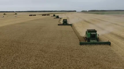 Қазақстанда биыл жиналған егіннің 1 миллион тоннасы экспортқа шығарылды