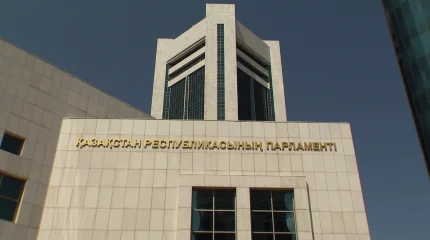 Бір палаталы парламент: тиімділік пен теңдік