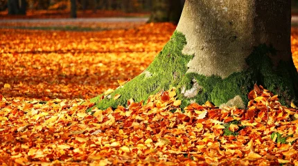 Прогноз погоды на 4 октября 2025 года