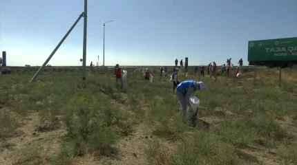 Республикалық маңызы бар мың шақырым жол қоқыстан тазартылды