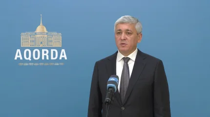 Глава государства принял акима Карагандинской области Е. Булекпаева