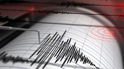 Жер сілкінді