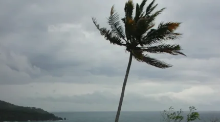 Қытайда ең жоғары деңгейдегі ескерту жарияланды