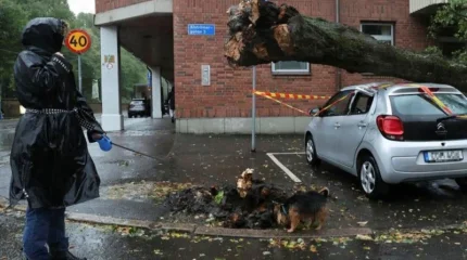 «Эми» дауылы Швецияға келіп жетті