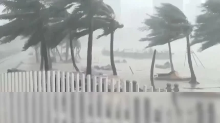 Қытайдың оңтүстігінде дауылдан 151 мың адам эвакуацияланды