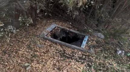 Пятилетняя девочка едва не погибла в септике в Костанайской области