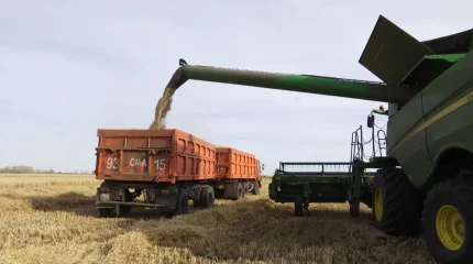 Сельское хозяйство и промышленность: главные флагманы развития СКО