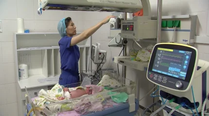 Ерте жүктілік жиілеп, жасанды түсік жасайтындар саны артып жатыр