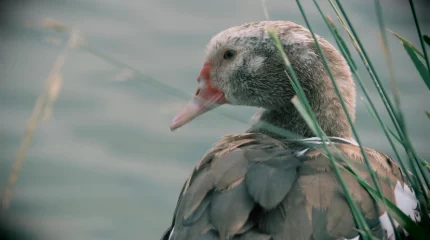 На западе — дожди и снег, в центре — туман: синоптики о погоде на три дня