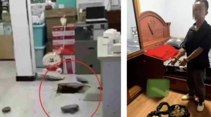 Мужчина прорыл тоннель в ювелирный магазин и украл четыре килограмма золота