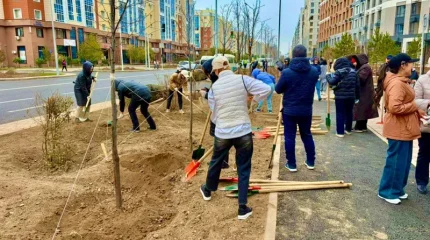 Астанада бүгін жалпықалалық сенбілік өтіп жатыр