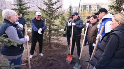 140 саженцев голубой ели высадили мажилисмены в Астане