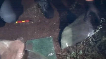 ІІМ: 9 айда 6 мыңнан астам есірткіге қатысты қылмыстық құқықбұзушылық анықталды