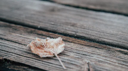 Прогноз погоды на 13 октября 2025 года