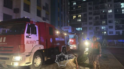 Электр сымдарынан өртенді