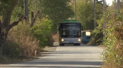 Автобуссыз қалған саяжай тұрғындары әкімдіктен көмек сұрады
