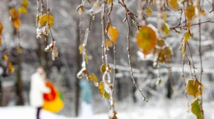 Синоптиктер алдағы күндері ауа райы күрт нашарлайтынын хабарлады