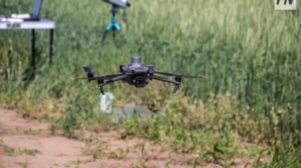 Павлодарлық ғалымдар астық ауруларын ерте анықтайтын жүйе әзірлеуде