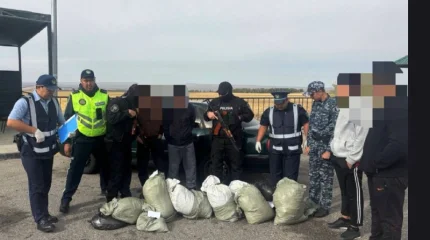 Жамбыл облысында полицейлер 66 келі марихуана тасымалдау әрекетін тоқтатты