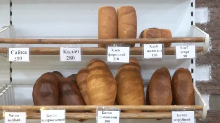 16 қазан - Халықаралық нан күні