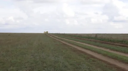 Павлодарда бос жатқан 132 мың гектар жер мемлекет меншігіне қайтарылды