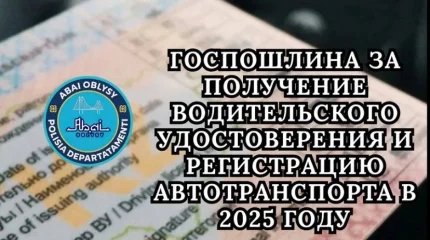 Сколько стоят водительские права в Казахстане?