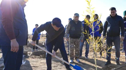 Ақтөбеде алғаш рет климатқа бейім әрі сирек кездесетін тораңғы ағашы отырғызылды