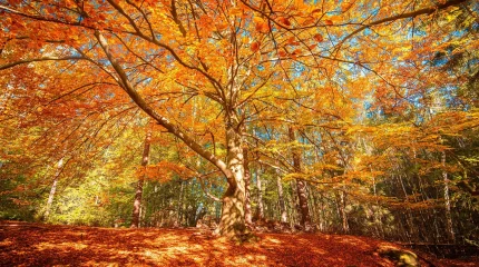 Прогноз погоды на 19 октября 2025 года