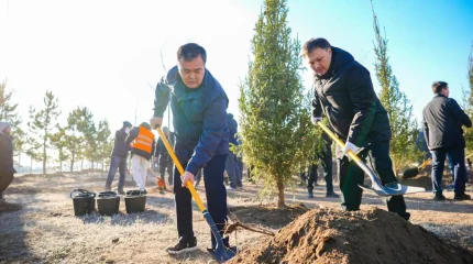 Более 1 млн зеленых насаждений высадят в Астане до конца года