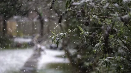 Бүгін жаңбыр жауып, күн күркірейді