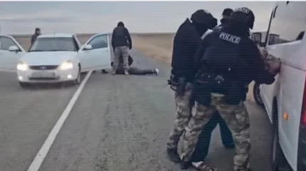 Шығын 11 млн теңге: мал ұрлаған қылмыстық топ ұсталды