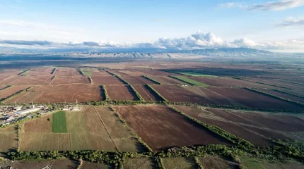 71,9 га жер мемлекет меншігіне қайтарылды