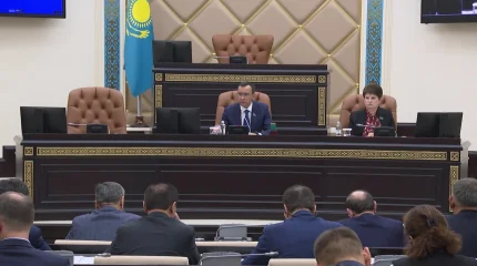 Сенатта «Digital Qazaqstan» стратегиясын іске асыру жолдары талқыланды