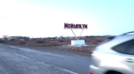 Жамбыл облысында мектеп оқушысы досын атып өлтірді