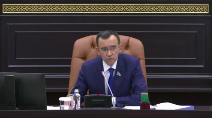 В Сенате обсудили реализацию стратегии «Digital Qazaqstan»