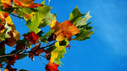 Сухо, солнечно и без осадков: каким будет вторник в Астане, Алматы и Шымкенте