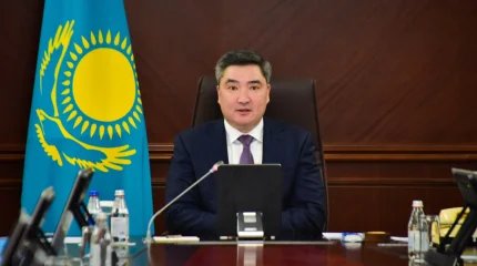 Олжас Бектенов Энергетика министрлігіне газ баллондарының айналымын бақылаудың нақты тетігін әзірлеуді тапсырды