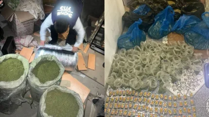 Маңғыстау облысында полицейлер ірі есірткі қылмысының бетін ашты