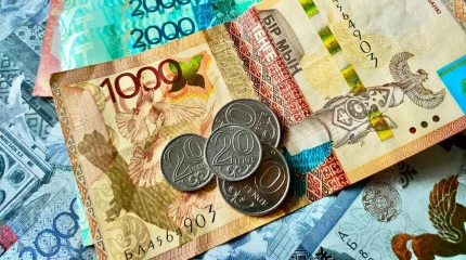 274 мың адам атаулы әлеуметтік көмек алды