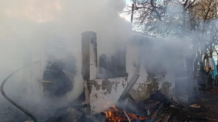 Әкесі мен ұлы өртеніп жатқан үйдің балаларын құтқарып қалды