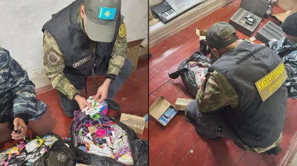 Транснациональную сеть российских интернет-мошенников ликвидировала полиция Казахстана