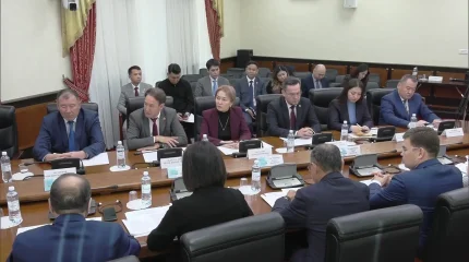 Историко-правовое значение Дня Республики обсудили в Сенате