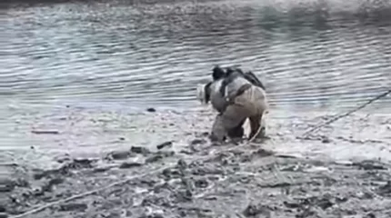 В Уральске ребёнок увяз в грязи