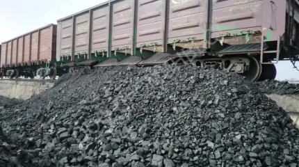 Қырғызстан көмір экспортына тыйым мерзімін ұзартуға ниетті