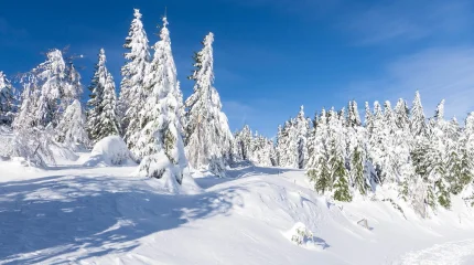 Казахстанцы получат дополнительный выходной в декабре